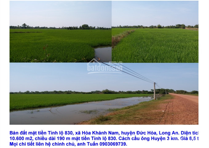 Bán đất mặt tiền Tỉnh Lộ 830, Long An