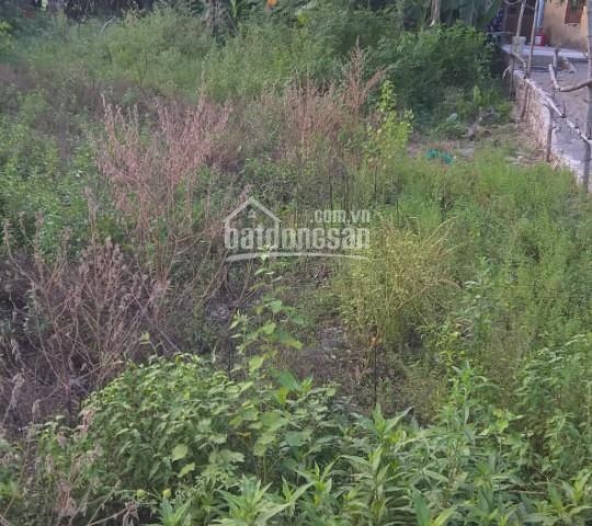 Chính chủ cần bán lô đất tại thôn Cẩm Nê, Hòa Tiến, Hòa Vang, Đà Nẵng