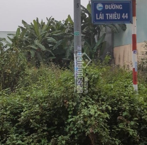 Cần bán đất mặt tiền Lái Thiêu 44 khu phố đông nhì Lái Thiêu, Thuận An, Bình Dương