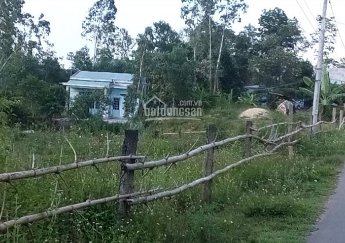 Cho thuê đất 7.000m2 tại Hòa Nhơn, Hòa Vang, Đà Nẵng