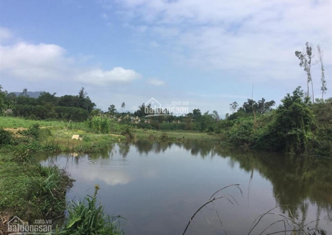 Cho thuê đất 7.000m2 tại Hòa Nhơn, Hòa Vang, Đà Nẵng