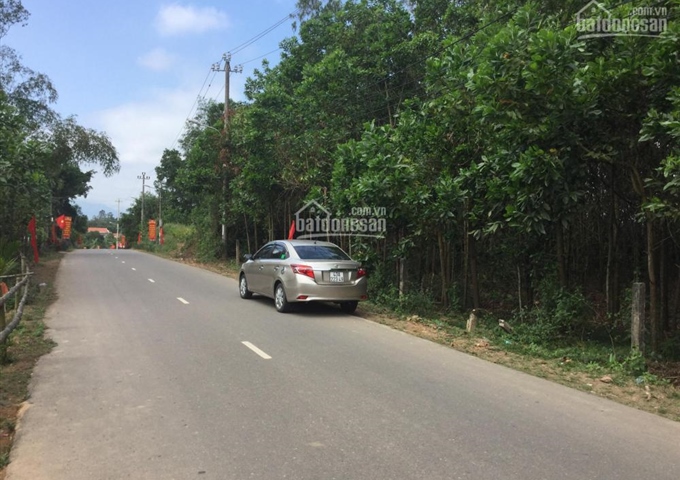 Cho thuê đất 7.000m2 tại Hòa Nhơn, Hòa Vang, Đà Nẵng