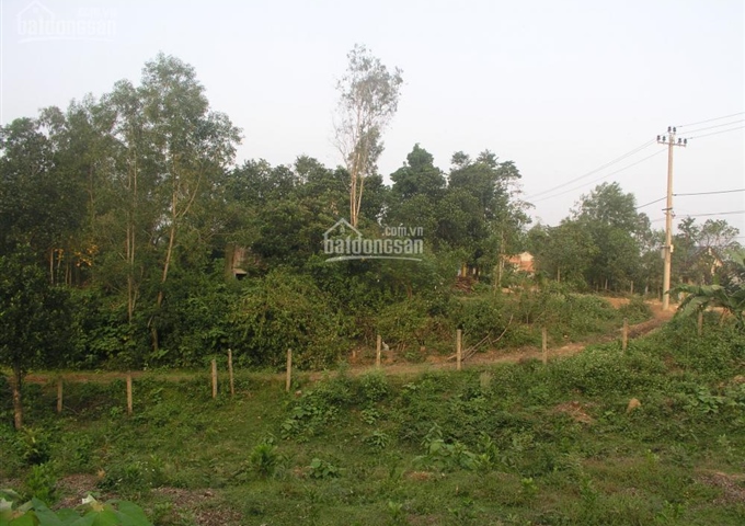 Cho thuê đất 7.000m2 tại Hòa Nhơn, Hòa Vang, Đà Nẵng