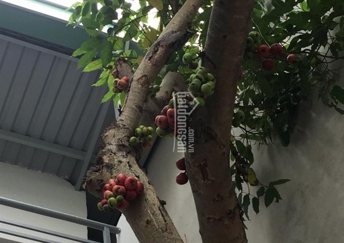 Nhà trọ 33/32 Đặng Văn Bi, ngã tư Bình Thái, Thủ Đức