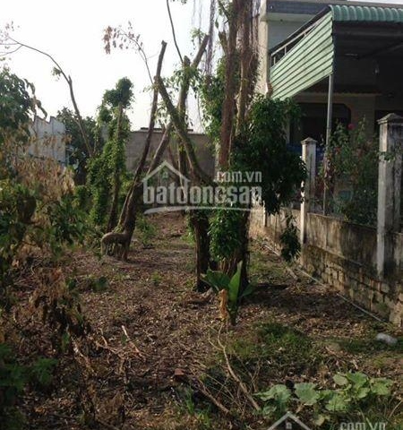 Bán đất chợ Việt Kiều, Mỹ Xuân, Tân Thành