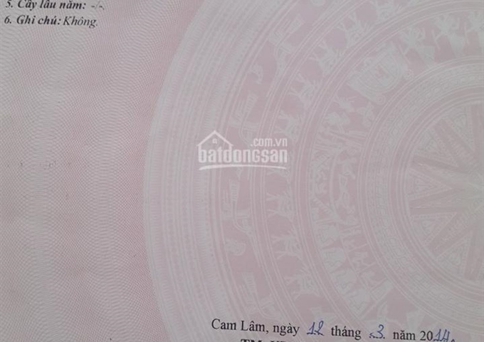 Cần bán lô đất trồng cây lâu năm thuộc xã Suối Tân, huyện Cam Lâm