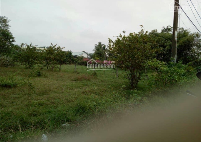 Bán đất MT đường 614 xã Phước Hiệp, Huyện Củ Chi DT 15x36=544m2 giá 1,5 tỷ