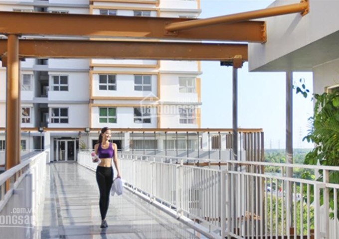 Cần tiền bán gấp CHCC Dragon Hill 1, giá 3.5 tỷ, đảm bảo rẻ nhất thị trường