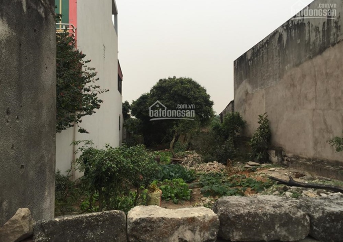 Đất nền khu dân cư Tân Tiến - Cộng Hòa