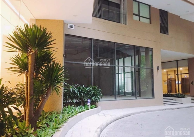 Cho thuê căn hộ The Everrich Infinity Trung Quận 5