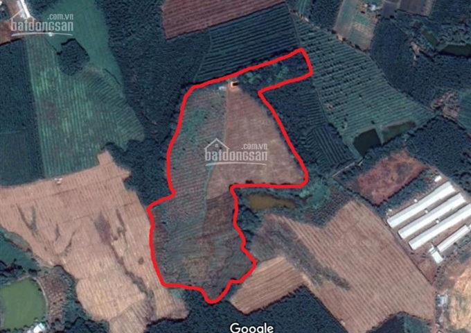 Bán 7ha đất nông nghiệp thuộc xã Hiếu Liêm, huyện Vĩnh Cửu