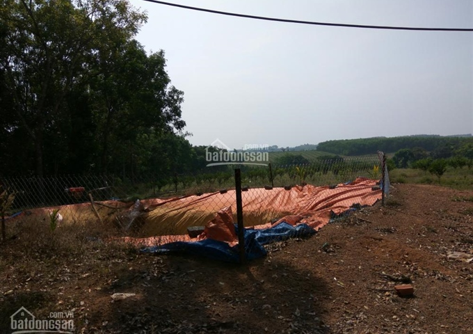 Bán 7ha đất nông nghiệp thuộc xã Hiếu Liêm, huyện Vĩnh Cửu