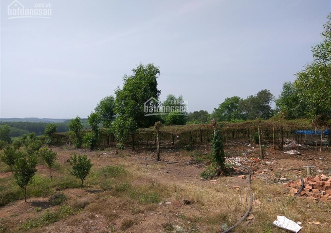 Bán 7ha đất nông nghiệp thuộc xã Hiếu Liêm, huyện Vĩnh Cửu