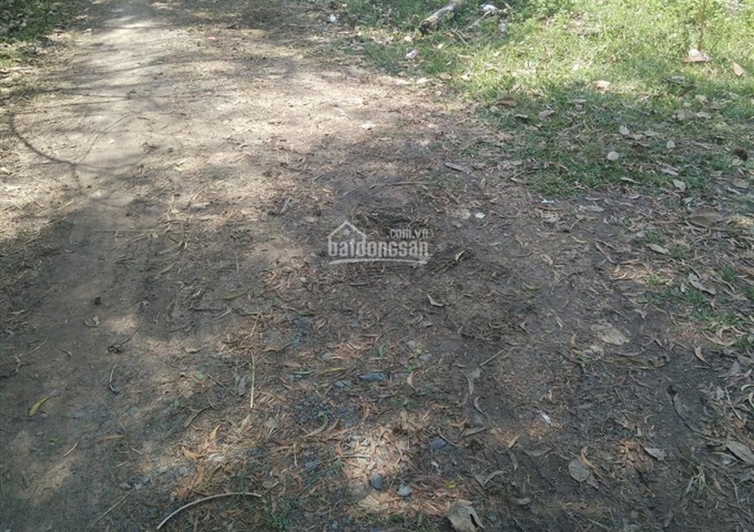 Bán đất Đường Nguyễn Thị Dạng, Xã Nhuận Đức, Củ Chi DT 64x91m giá 4,2 tỷ