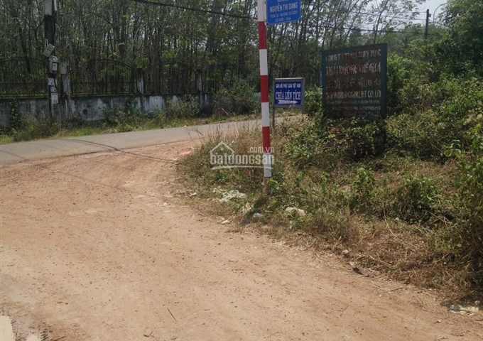 Bán đất Đường Nguyễn Thị Dạng, Xã Nhuận Đức, Củ Chi DT 64x91m giá 4,2 tỷ