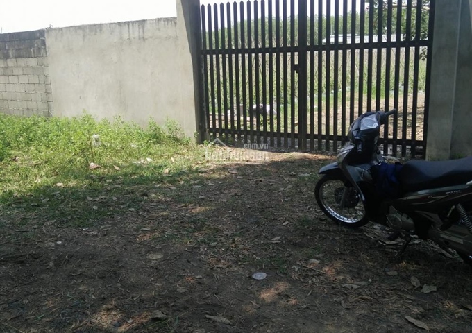 Bán đất Đường Nguyễn Thị Dạng, Xã Nhuận Đức, Củ Chi DT 64x91m giá 4,2 tỷ