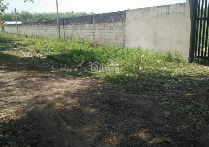 Bán đất Đường Nguyễn Thị Dạng, Xã Nhuận Đức, Củ Chi DT 64x91m giá 4,2 tỷ