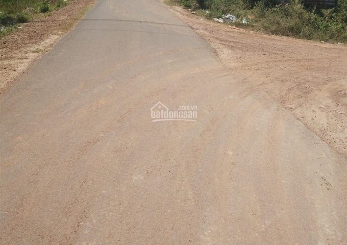 Bán đất Đường Nguyễn Thị Dạng, Xã Nhuận Đức, Củ Chi DT 64x91m giá 4,2 tỷ