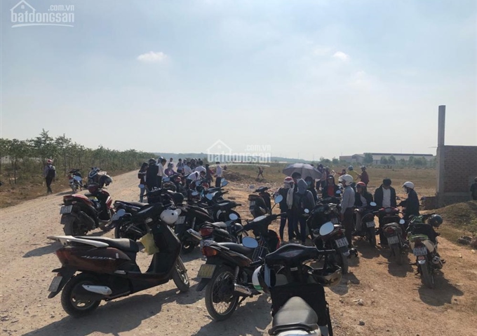 Có nên mua dự án đất nền khu ĐT Tân Long, Tân Uyên, Hội Nghĩa không? Khi nào đầu tư để sinh lời