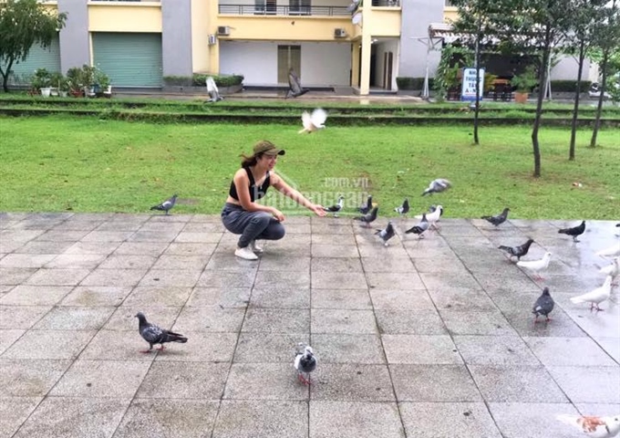 Bán căn hộ chung cư Petroland q2 - Khu Lakeview Novaland giá 1tỷ6