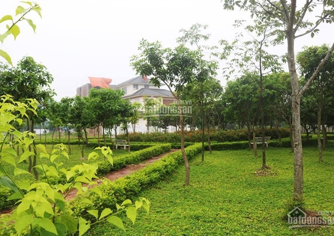 Mở bán chính thức dự án Kosy Gia Sàng, giá chỉ từ 6,4tr-9,5tr/m2 trung tâm TP. Thái Nguyên