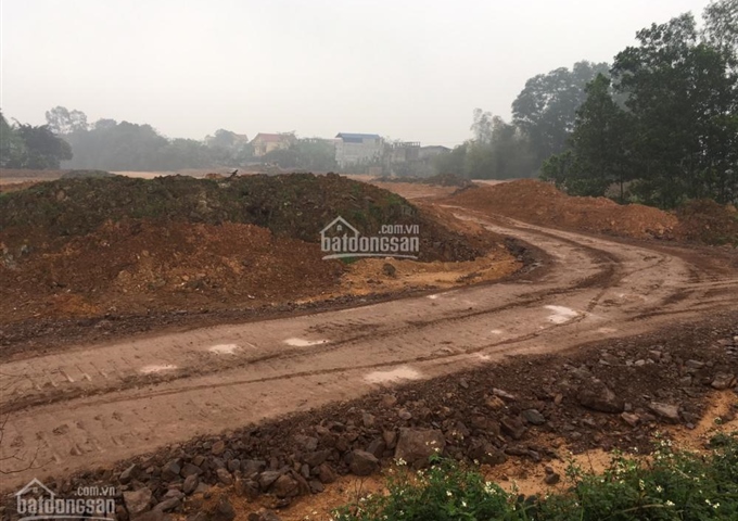 Mở bán chính thức dự án Kosy Gia Sàng, giá chỉ từ 6,4tr-9,5tr/m2 trung tâm TP. Thái Nguyên