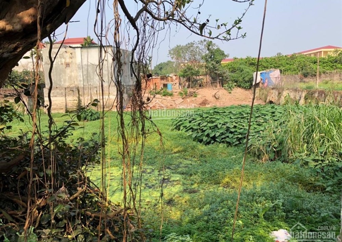 Cần bán đất thổ cư 467.3m2 thôn La Thạch, xã Phương Đình, Đan Phượng