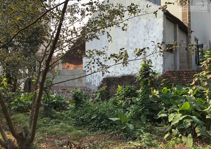 Cần bán đất thổ cư 467.3m2 thôn La Thạch, xã Phương Đình, Đan Phượng