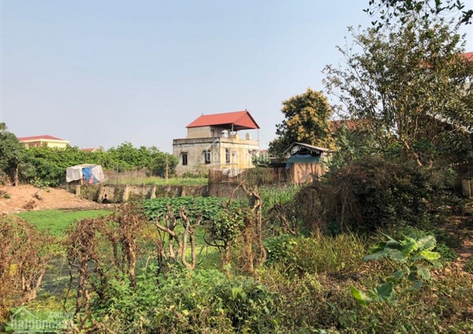 Cần bán đất thổ cư 467.3m2 thôn La Thạch, xã Phương Đình, Đan Phượng