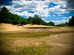 Bán đất 50000m2 Cái Tranh, Mỹ Phước, Mang Thít, Vĩnh Long