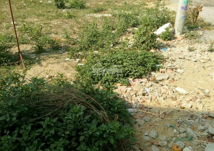 Bán đất vị trí cực đẹp chợ Hoàng Gia, Tân Định, Bến Cát