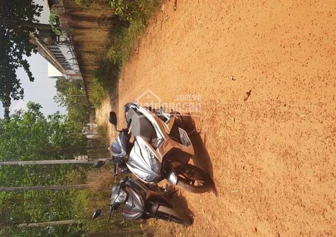 Bán đất ngay trường THCS Nguyễn Bỉnh Khiêm thị trấn Dầu Tiếng. Diện tích 7,51m x 35,29m = 277m2