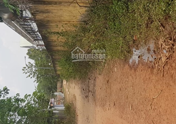 Bán đất ngay trường THCS Nguyễn Bỉnh Khiêm thị trấn Dầu Tiếng. Diện tích 7,51m x 35,29m = 277m2