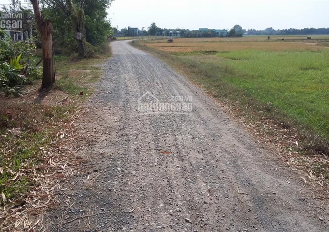 Bán đất ấp Bình Hữu 1 xã Đức Hòa Thượng, huyện Đức Hòa tỉnh Long An, DT: Ngang 36m dài 50m