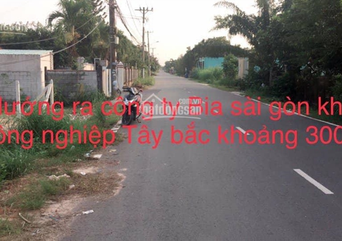 Bán đất đường Cây Sộp, Xã Tân An Hội, Huyện Củ Chi. DT 12x50m, giá 4,2tỷ