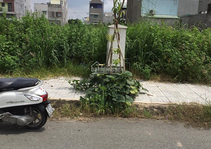 Chuyên bán đất khu tái định cư Long Sơn, phường Long Bình quận 9, đường B, đường N12, đường N10