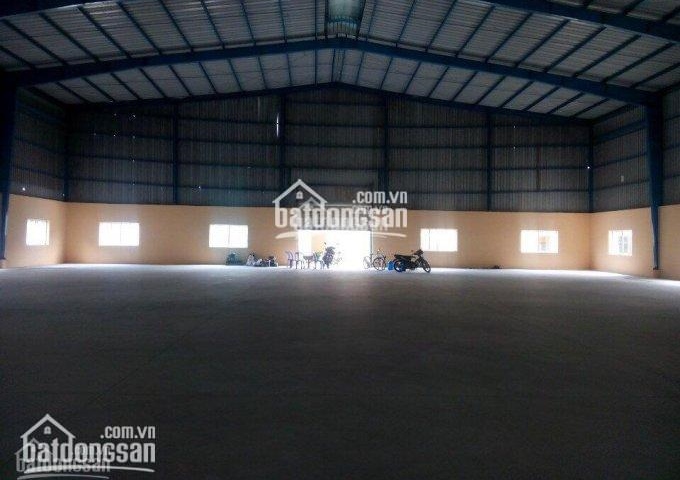Cho thuê nhà xưởng mới xây dựng DT 2520m2 tại KCN Tân Đô, Đức Hòa, Long An