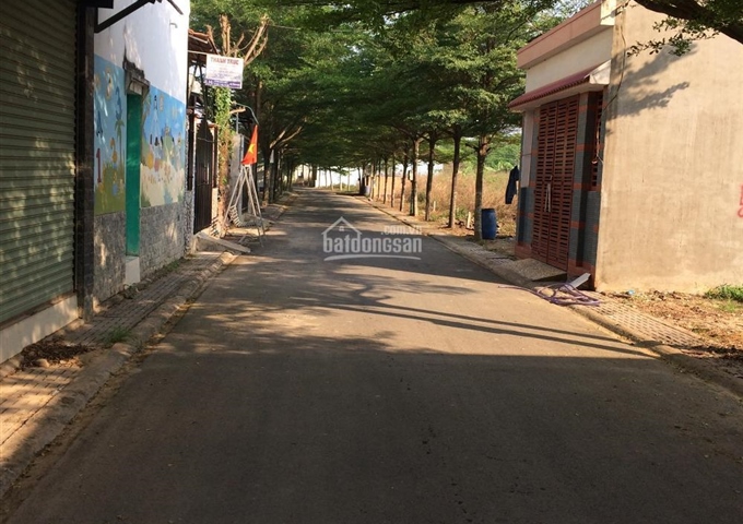 Bán đất đường Hàm Nghi, Tam Phước, Biên Hòa, Đồng Nai