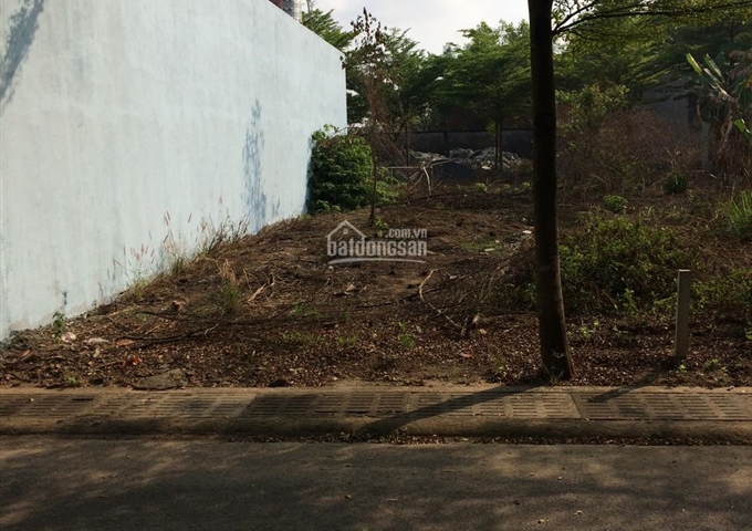 Bán đất đường Hàm Nghi, Tam Phước, Biên Hòa, Đồng Nai