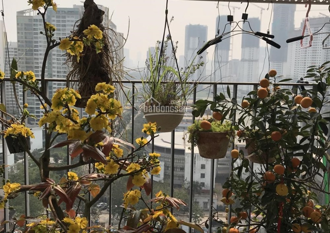 Chính chủ bán 2 căn hộ toà B - N04 Udic Complex Hoàng Đạo Thuý - liên hệ 0989996098