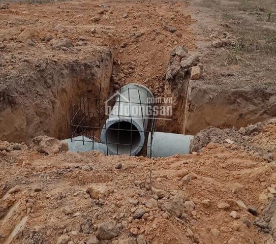 Bán đất dự án khu đô thị cao cấp Tân Long