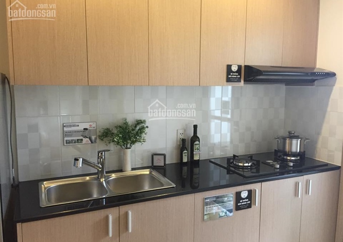 PKD chủ đầu tư dự án Sky 9 chuyên cho thuê lại căn hộ và shophouse