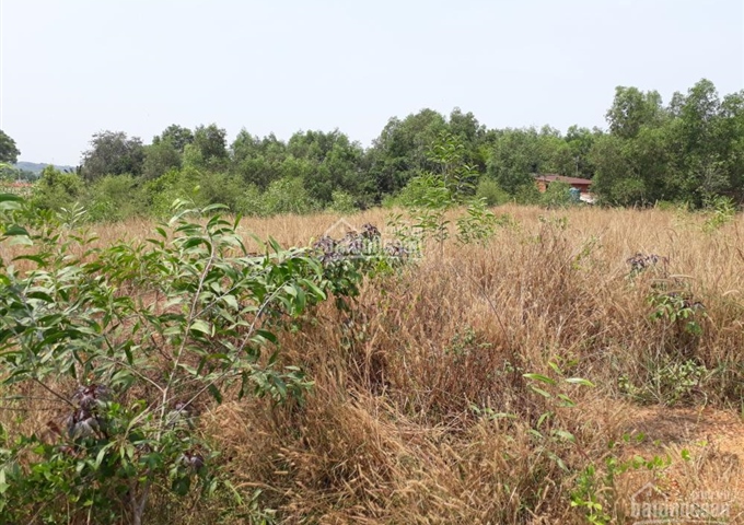 Đường Khánh Bình 02, Tân Uyên, Bình Dương