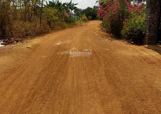 Cần bán gấp lô đất tiềm năng Sông Thao, Bàu Hàm, Trảng Bom, Đồng Nai