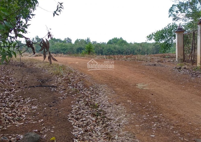 Cần bán gấp lô đất tiềm năng Sông Thao, Bàu Hàm, Trảng Bom, Đồng Nai