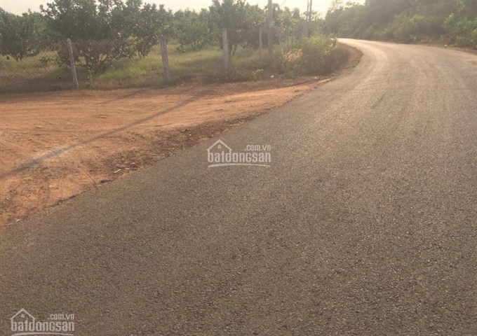 Cần bán gấp lô đất tiềm năng Sông Thao, Bàu Hàm, Trảng Bom, Đồng Nai