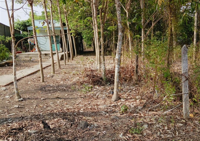 Bán đất chính chủ tại Phú Giáo, Bình Dương