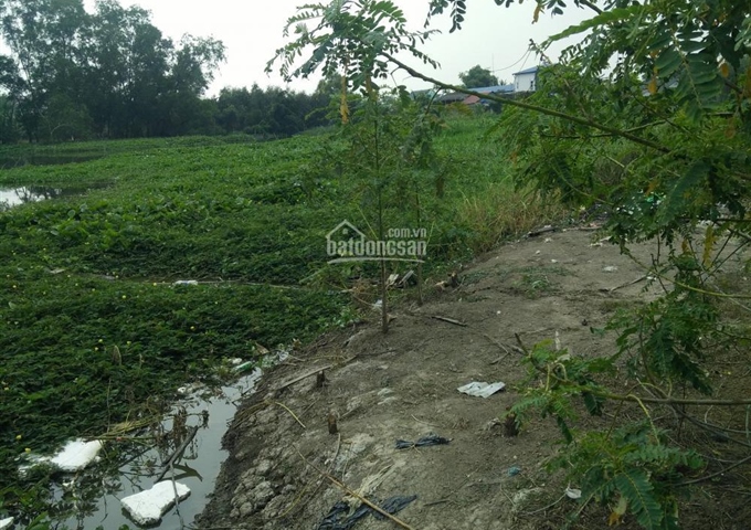 Đất thổ cư xã Tân Kim, ấp Thanh Hà, 4.5mx38m, chính chủ, 480 triệu